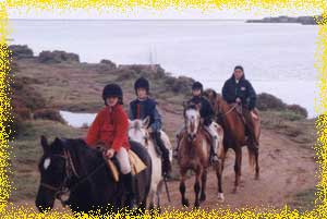 balades a cheval et poney au bord de l'etang