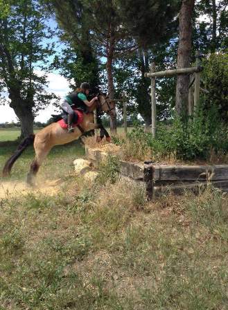 cce cross centre equestre ranch le petit sam