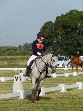 dressage concours centre equestre ranch le petit sam