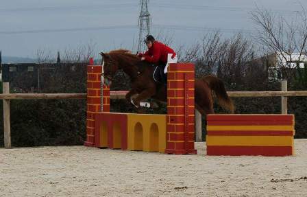 cso obstacles rives de rive centre equestre le petit sam