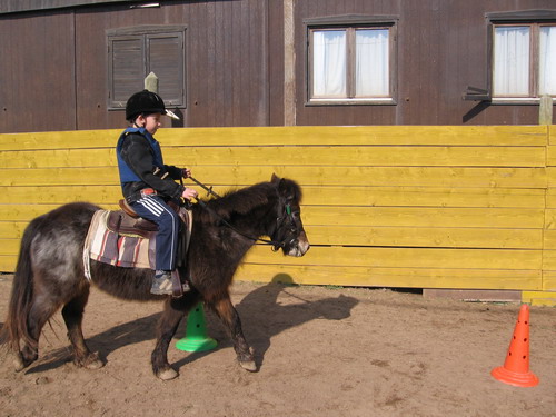 Cours d'equitation a poney pour les enfants a partir de 3 ans