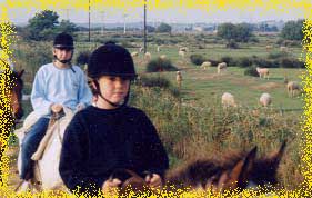 Promenades a cheval a coté d'un berger et ses moutons au bord de l'etang