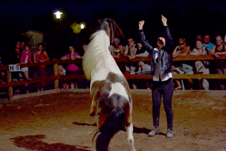 Elisa et pollux en spectacle equestre