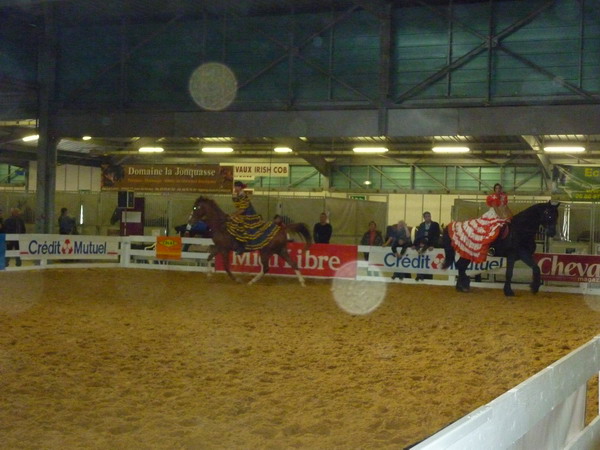 le ranch le petit sam au salon du cheval de montpellier avec un frison et un anglo arabe