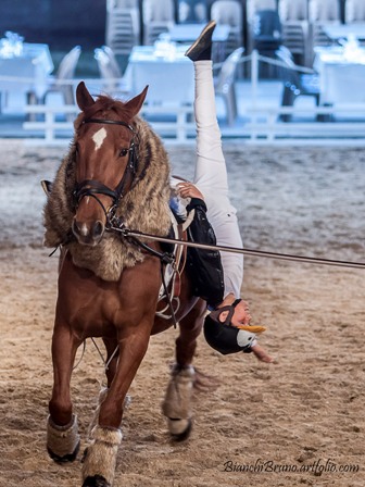 spectacle equestre ranch le petit sam