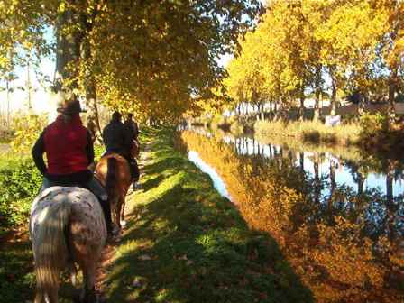 balade cheval canal du midi