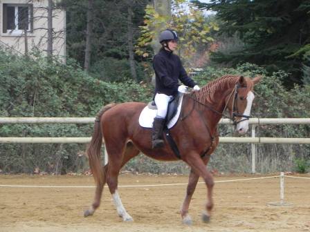 dresssage centre equsetre club ranch le petit sam concours serignan plage