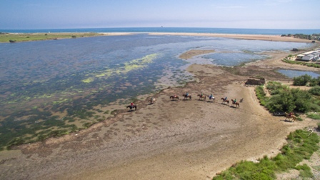 etang mer balade cheval