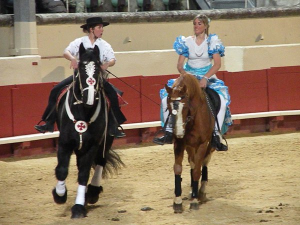 telethon 2010 a cheval avec un frison et un anglo arabe